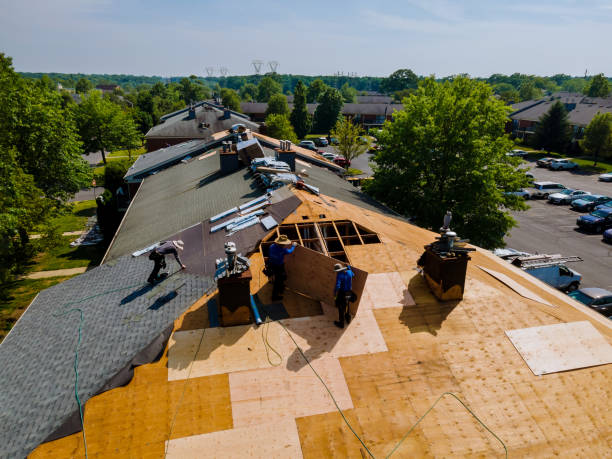Best Flat Roof Repair Services  in Alton, IA